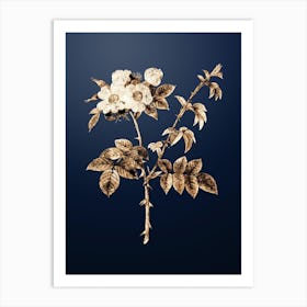 Gold Botanical White Flowered Rose on Midnight Navy Art Print
