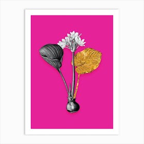 Vintage Cardwell Lily Black and White Gold Leaf Floral Art on Hot Pink n.1234 Art Print