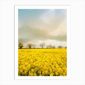 Fields Of Gold Art Print