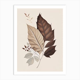 Ash Leaf Earthy Line Art Art Print