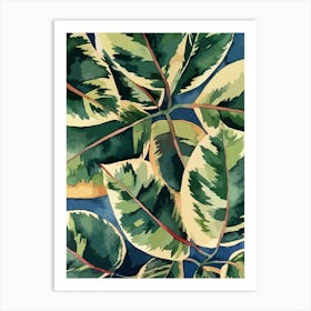Ficus Elastica Variegata 1 Art Print
