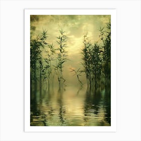 Bamboo Forest In The Mist Art Print