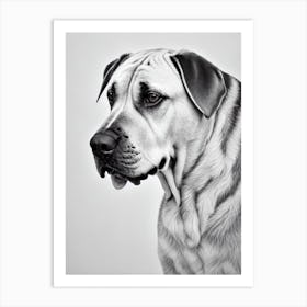 Boerboel B&W Pencil Dog Art Print