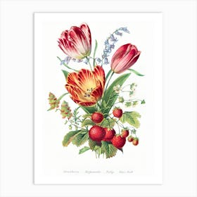 Strawberry Tulips Art Print