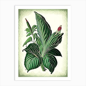 Comfrey Herb Vintage Botanical Art Print