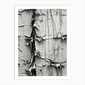 Peeling Paint Art Print