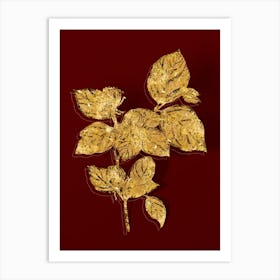 Vintage Carolina Allspice Flower Botanical in Gold on Red n.0458 Art Print