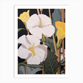 Flower Illustration Evening Primrose 1 Art Print