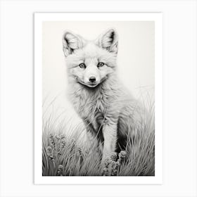 Arctic Fox In A Field Pencil Drawing 1 Art Print