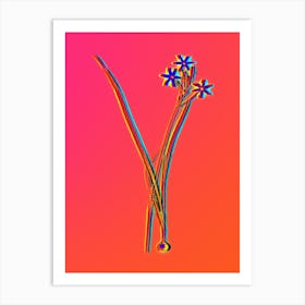 Neon Ixia Longiflora Botanical in Hot Pink and Electric Blue n.0212 Art Print
