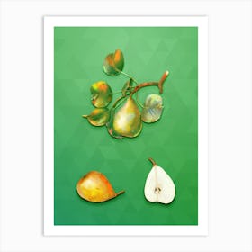 Vintage Pear Botanical Art on Classic Green n.0039 Art Print