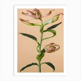 Lily Of The Valley 1 Art Print