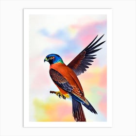 Falcon Watercolour Bird Art Print