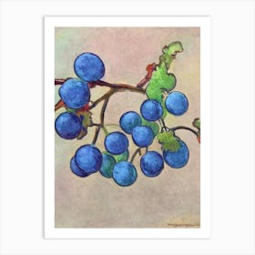 Grapes Vintage Sketch Fruit Art Print