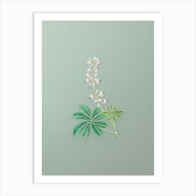Vintage Half Shrubby Lupine Flower Botanical Art on Mint Green n.0993 Art Print