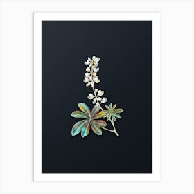 Vintage Half Shrubby Lupine Flower Botanical Watercolor Illustration on Dark Teal Blue Art Print