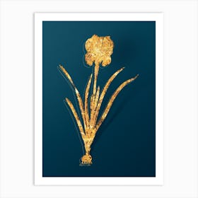 Vintage Mourning Iris Botanical in Gold on Teal Blue n.0068 Art Print