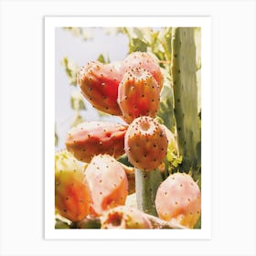 Prickly Pear Fruit Art Print