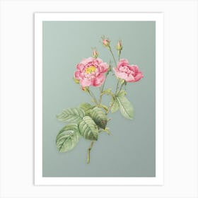 Vintage Anemone Centuries Rose Botanical Art on Mint Green n.0024 Art Print