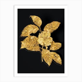 Vintage Stewartia Tree Botanical in Gold on Black Art Print