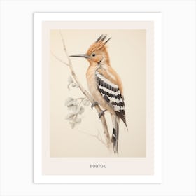 Vintage Bird Drawing Hoopoe 2 Poster Art Print