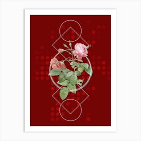 Vintage Pink Boursault Rose Botanical with Geometric Line Motif and Dot Pattern Art Print