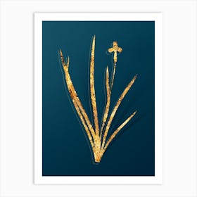 Vintage Iris Martinicensis Botanical in Gold on Teal Blue n.0262 Art Print