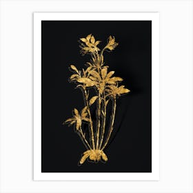 Vintage Lily of the Incas Botanical in Gold on Black n.0084 Art Print