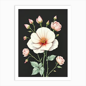 Pink Roses 2 Art Print