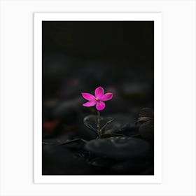 Flower In The Dark 94 Art Print