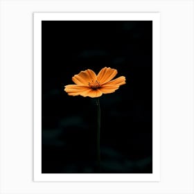 Single Orange Flower 16 Art Print