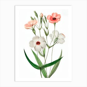 Watercolor Flowers 24 Art Print