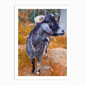 Goat With Horns 20180503 15 01rt1ppub Art Print