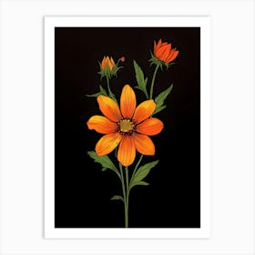 Cosmos Flower 5 Art Print