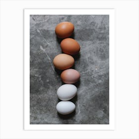 Row Of Eggs 2 Art Print