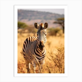 Portrait Of A Zebra V2 Art Print