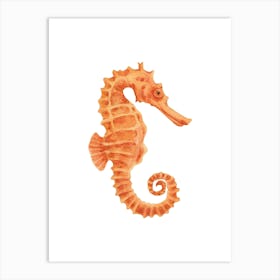 Seahorse 9 Art Print