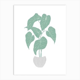 Green Begonia Art Print
