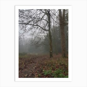 Misty day on the woods Art Print