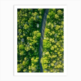 Aerial View Captures The Canopy Of A Lush Green Forest In The Throes Of Spring New Leaves Unfurling (4) Art Print