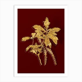Vintage Swamp Titi Leaves Botanical in Gold on Red n.0402 Art Print