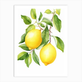 Lemons On A Branch Art Print