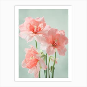 Amaryllis Flowers Acrylic Pastel Colours 3 Art Print