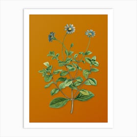 Vintage Blue Marguerite Plant Botanical on Sunset Orange n.0530 Art Print