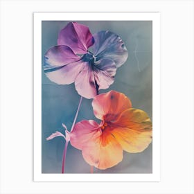 Iridescent Flower Nasturtium 2 Art Print