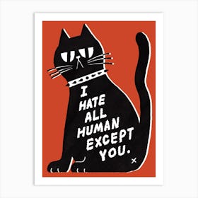 Mean Cat Art Print