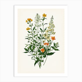 Vintage Botanical Galleria Style Wildflower Painting 39 Art Print