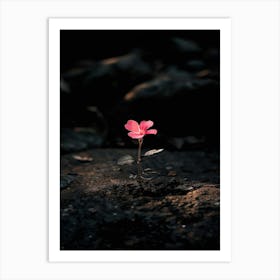 Flower In The Dark 91 Art Print