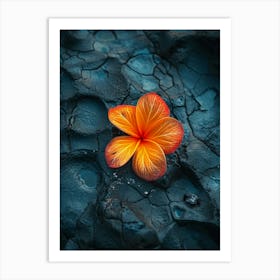 Lava Flower Art Print