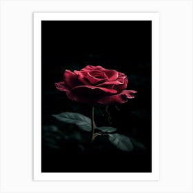 Dark Rose 4 Art Print